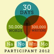 NaNoWriMo!