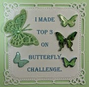 Butterfly Challenge