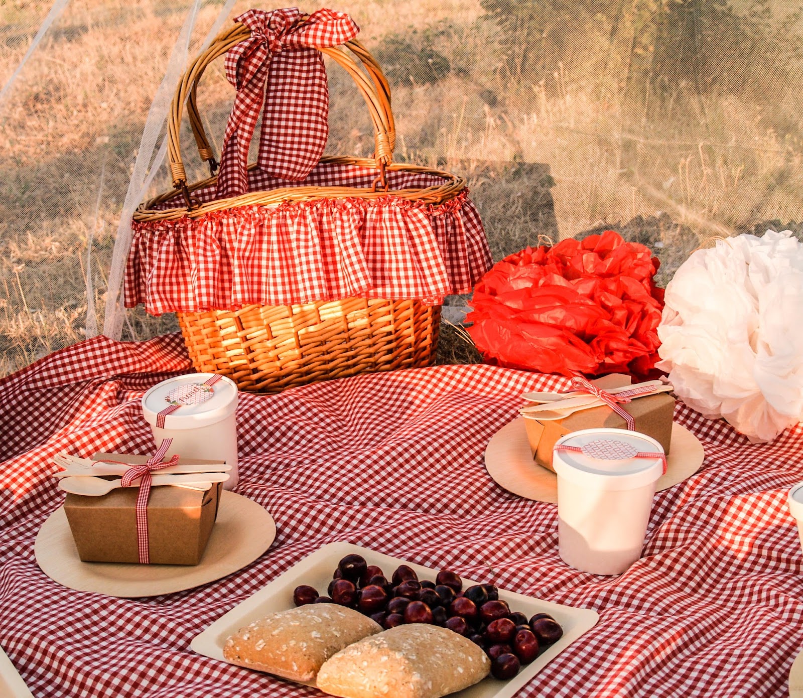 Kit de Picnic ¡Sorteo! Blog Cocottó