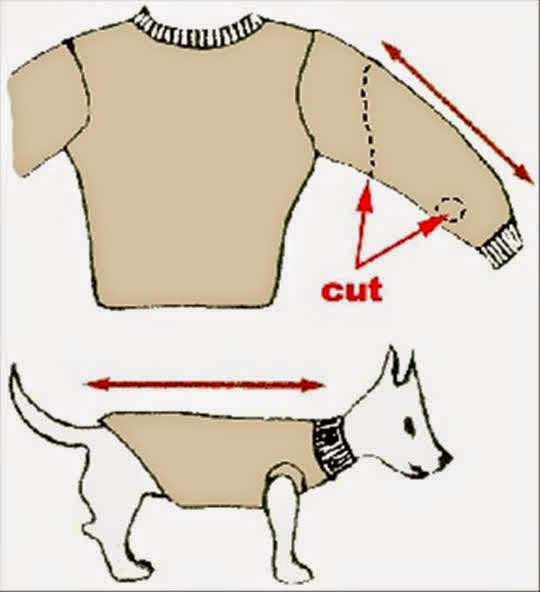 How to Make a Sweater for Your Dog NO SEW! DIY Craft Projects