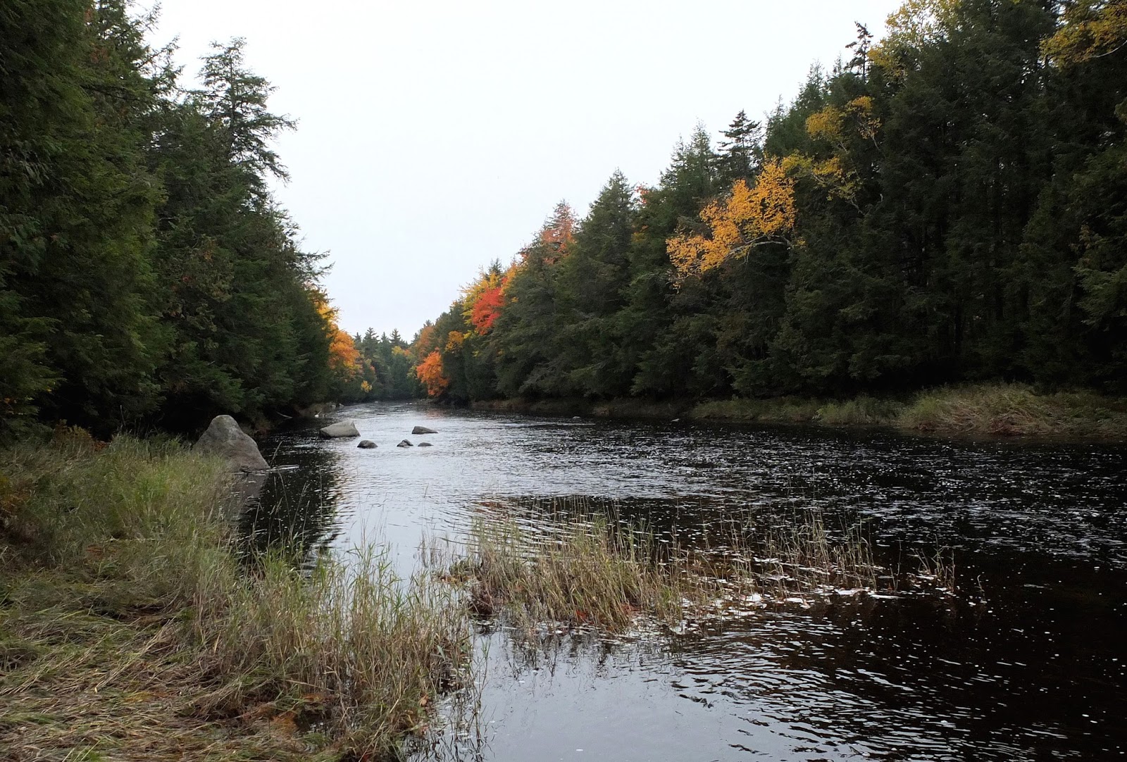 Hiking in Maine with Kelley 10/13/15 Mariaville Falls
