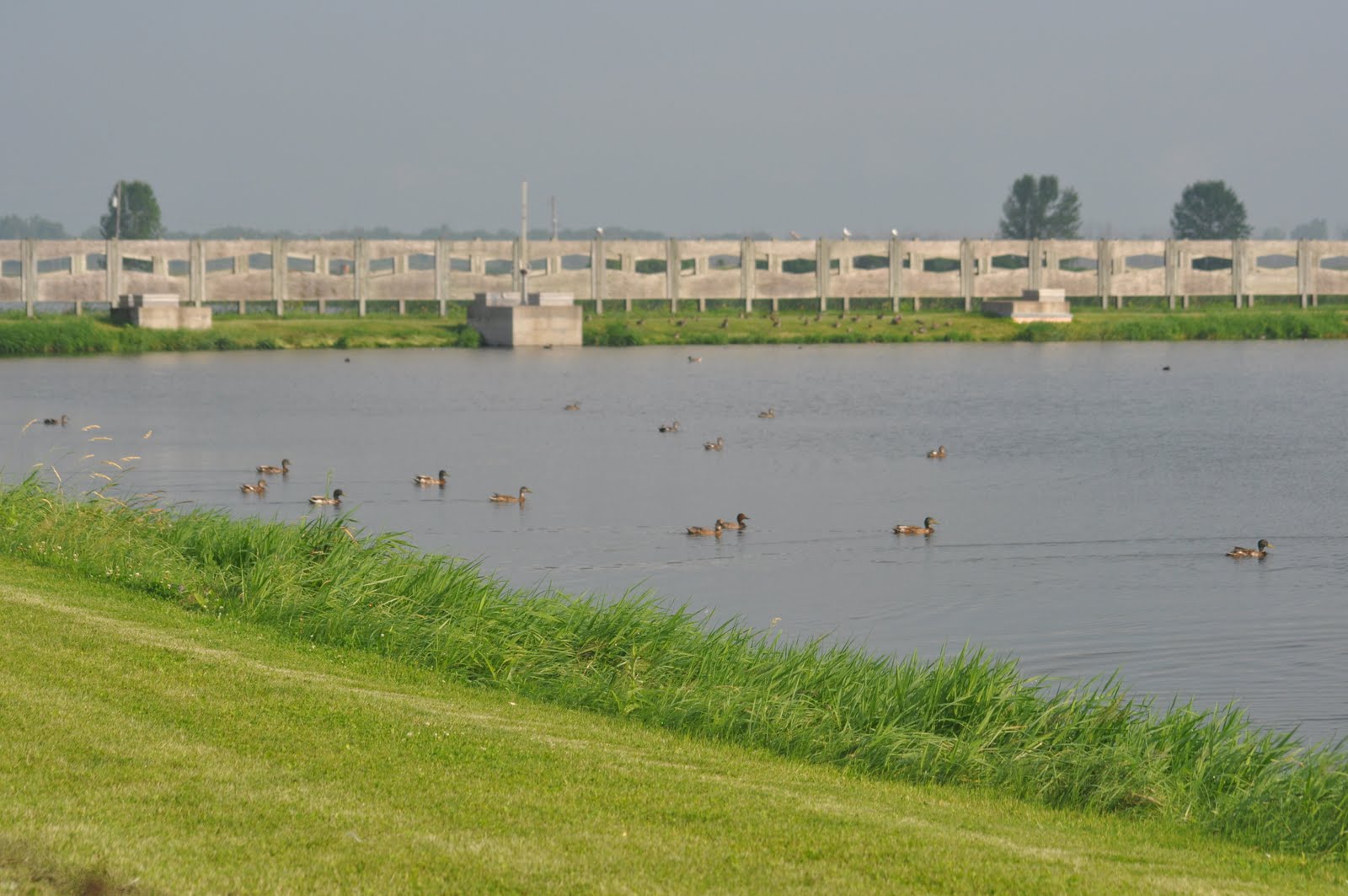 Centre d'interprétation de BaieduFebvre juillet 2011