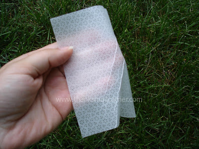 insect repellent wipes