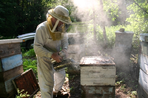 Контрольная работа: Промышленное пчеловодство