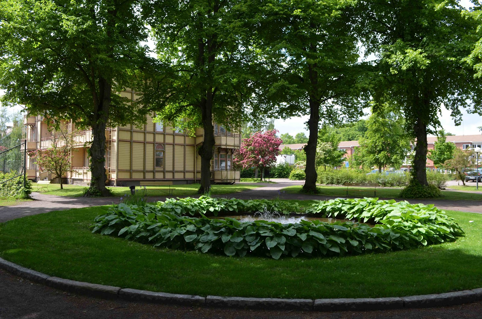 [Image: DSC_0033.JPG]