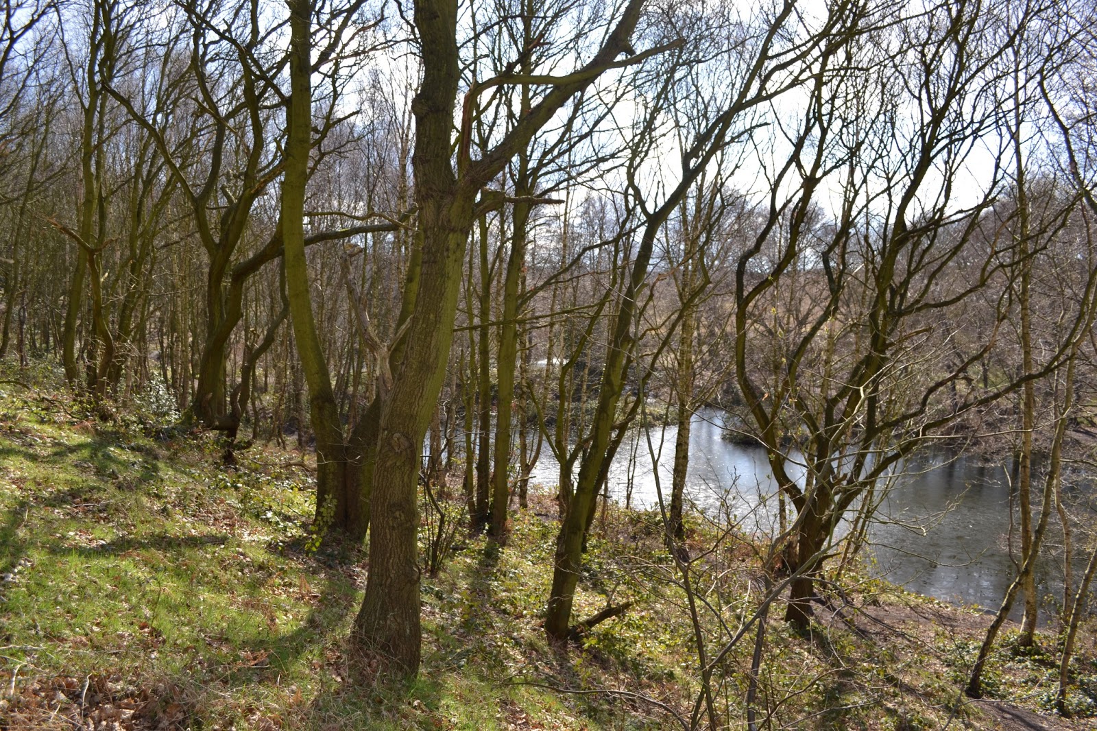 Archaeology and History of Medieval Sherwood Forest Clipstone Peel and