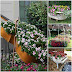 Creative upcycling ideas to make in garden yourself
