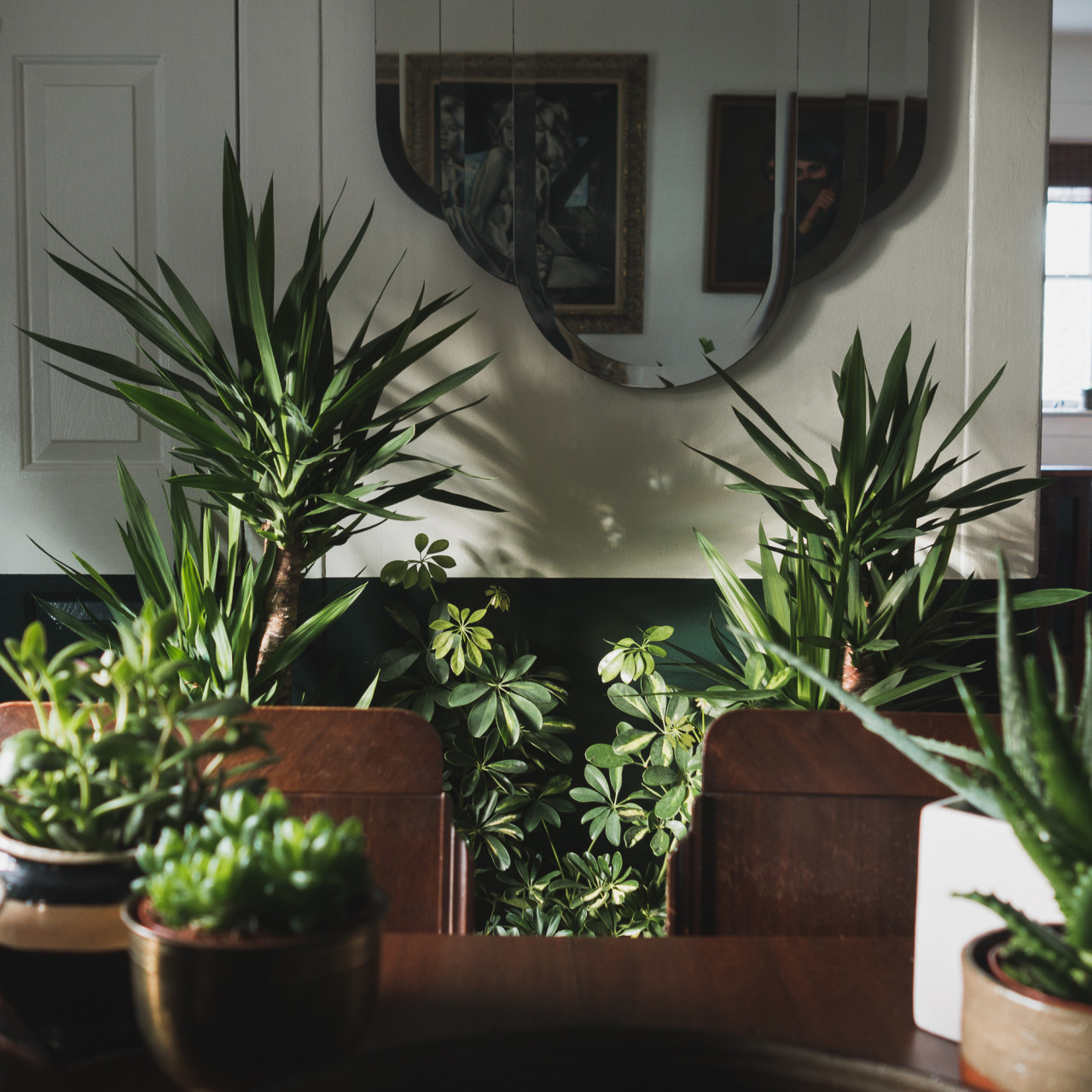 Seattle Home Decor luxury private dining room seattle for your home decor arrangement ideas with private dining room seattle Houseplants Seattle Home Decor brookes modern bohemian ranch style in seattle Houseplants