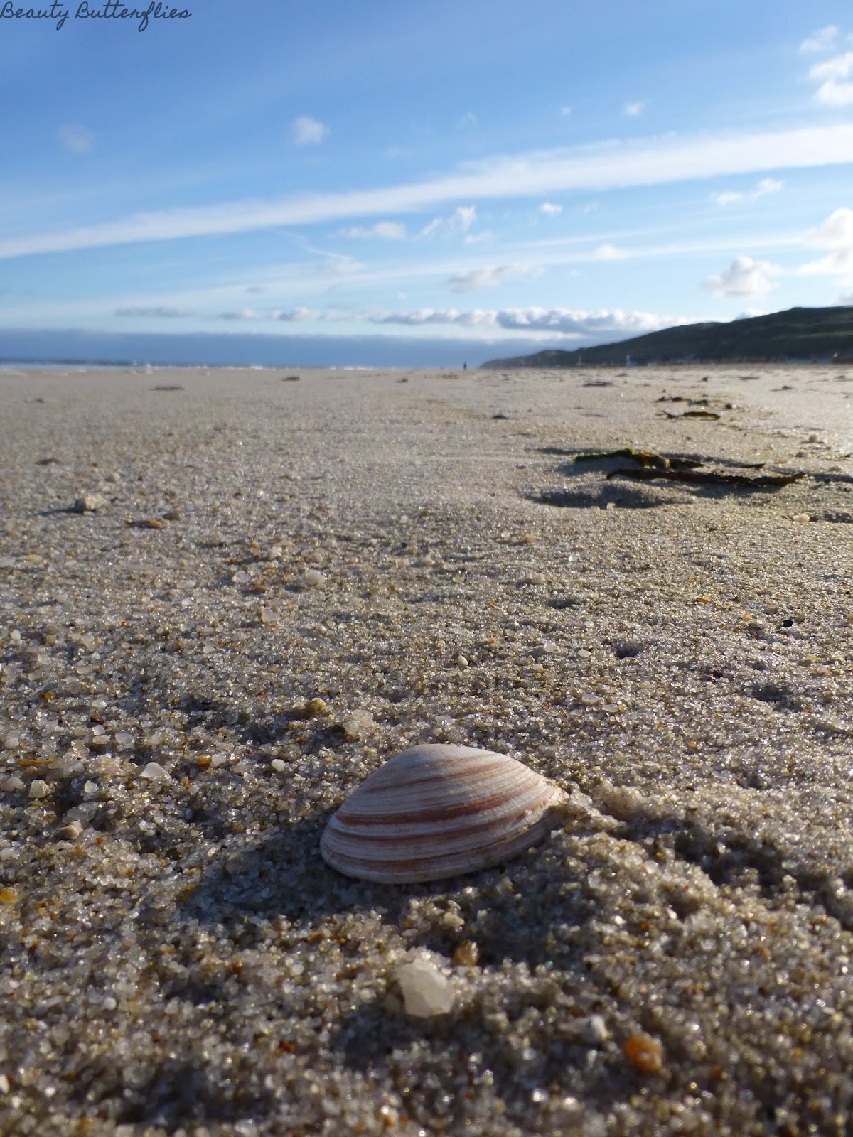 Hotel Severin S Resort Spa Auf Sylt Fashion Whisper Der