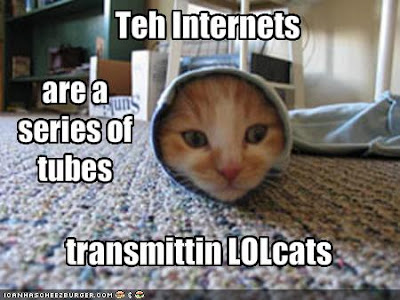 funny-pictures-the-internet-is-a-series-