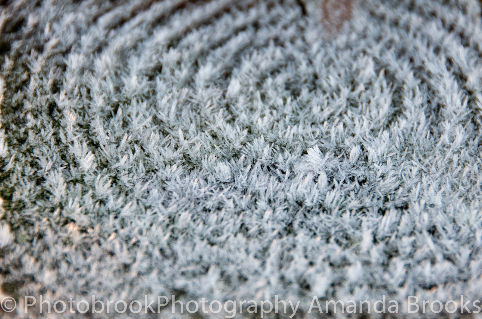 Frost patterns on wood