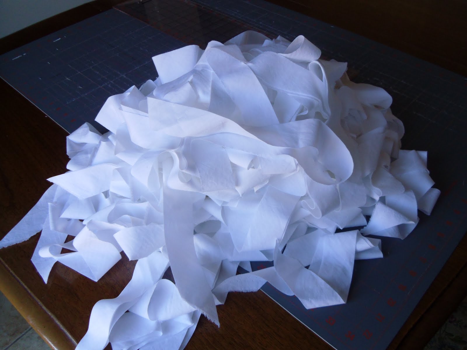 Ameroonie Designs Wavy Ruffle Pillow Tutorial