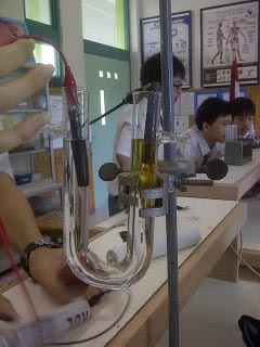 Contoh Laporan Kimia Olive S Fruit