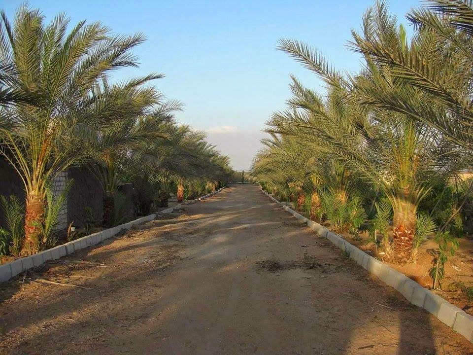 مزرعة للبيع في الاسماعيلية farm for sale in Ismailia سوق العقارات