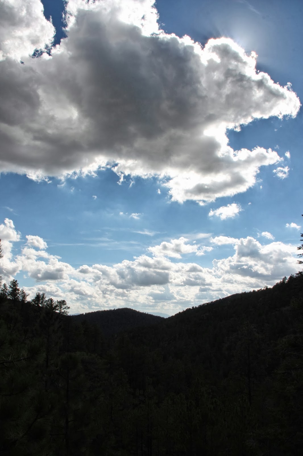 A is for Adventure Chamisa Trail (Santa Fe, New Mexico)