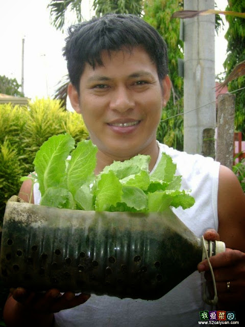 Bottle garden idea, gardening ideas for small gardens