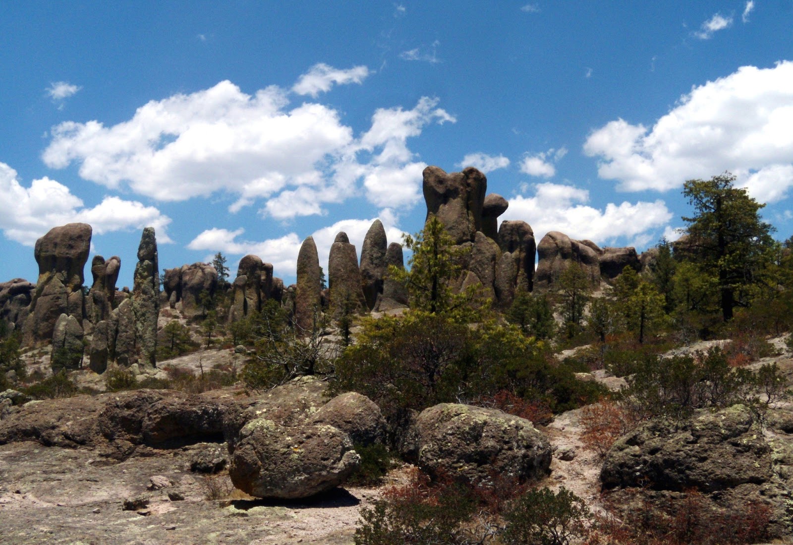 Chihuahua. A voyage to State of Chihuahua, Mexico, North America
