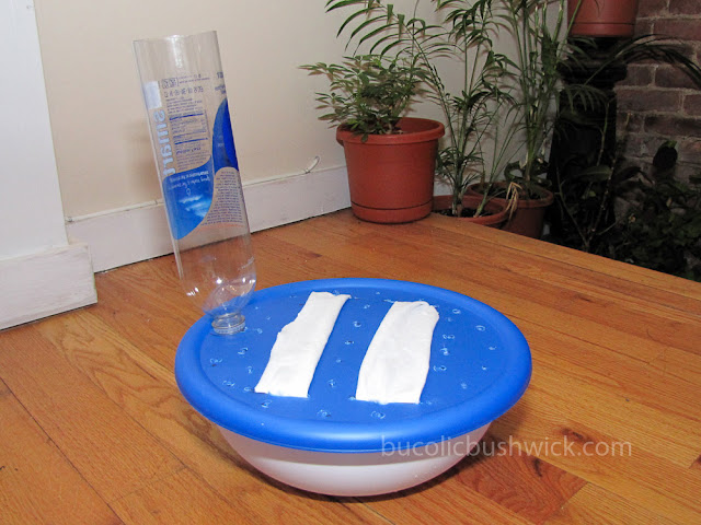 Convert a Standard Planter into a Self Watering Container