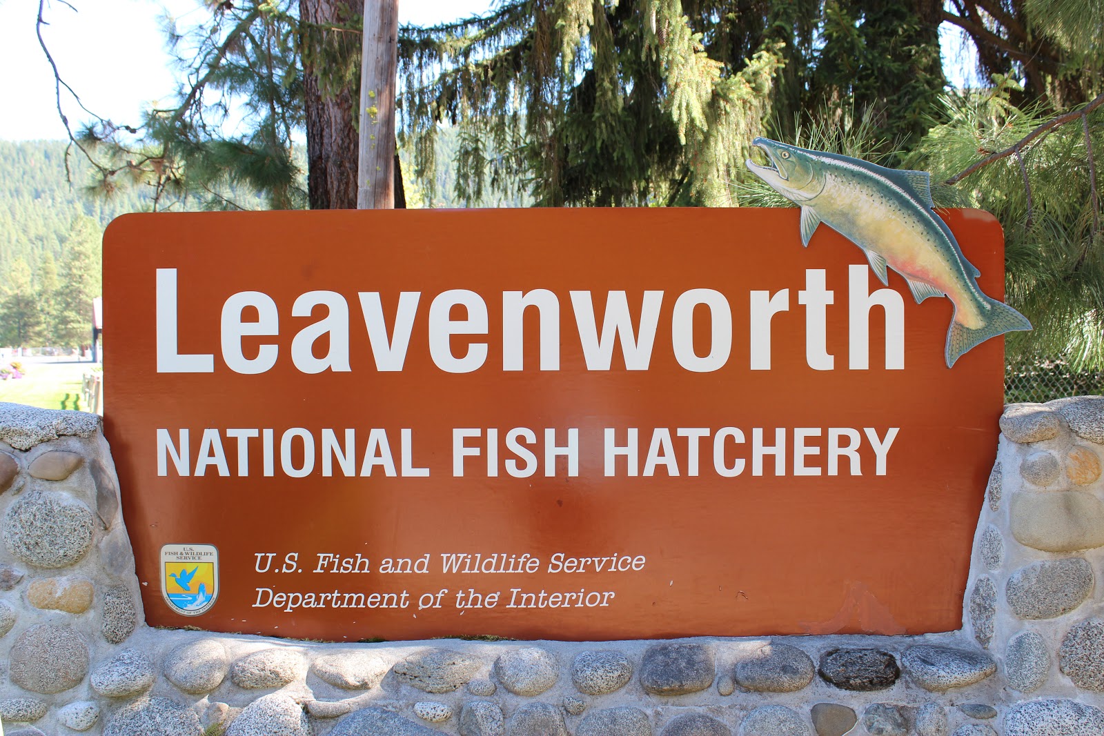Jen's Updates Leavenworth National Fish Hatchery
