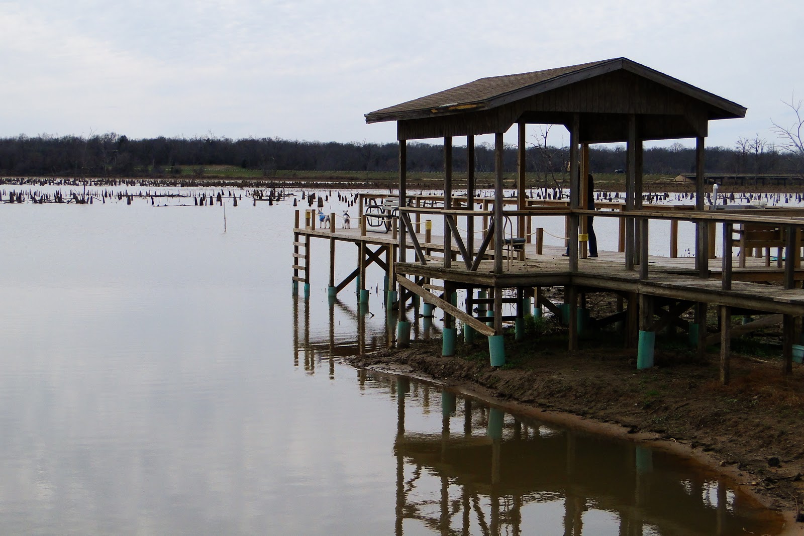 Bass Fishing Records at Lake Fork, Texas