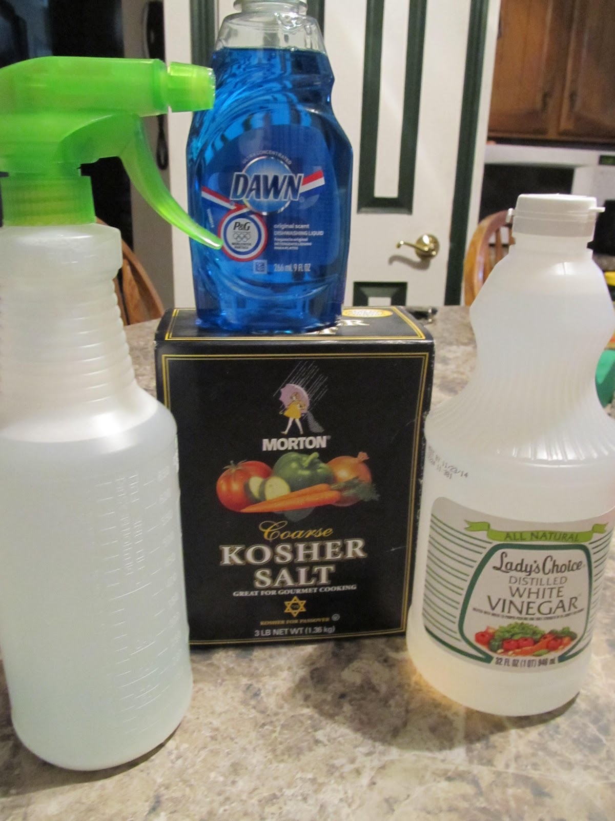 The Busy Bee's Vinegar Weed Killer