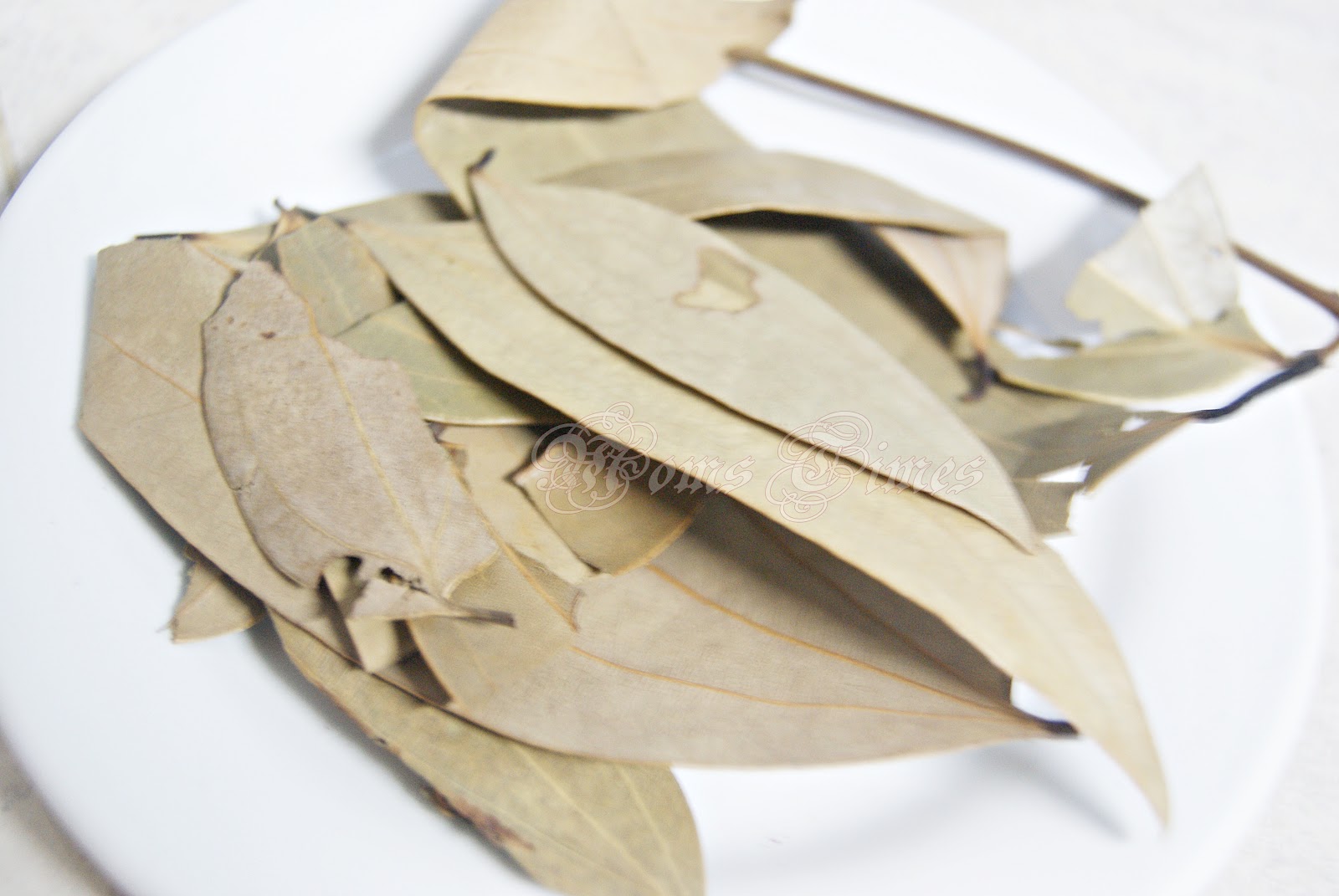 Indian Kitchen explored Indian Bay leaf