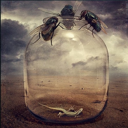 07-Surreal-Photo-Manipulation-Sarolta-Bán-www-designstack-co