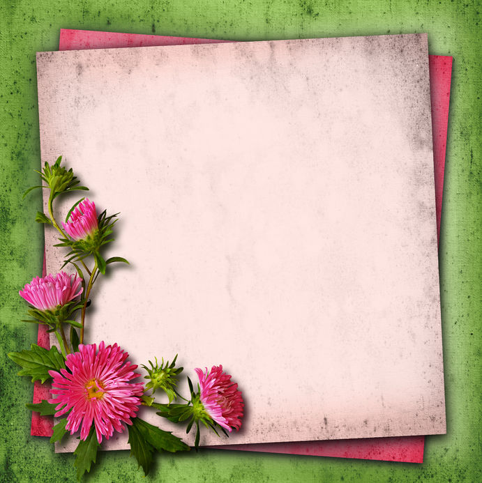 targetas de flores