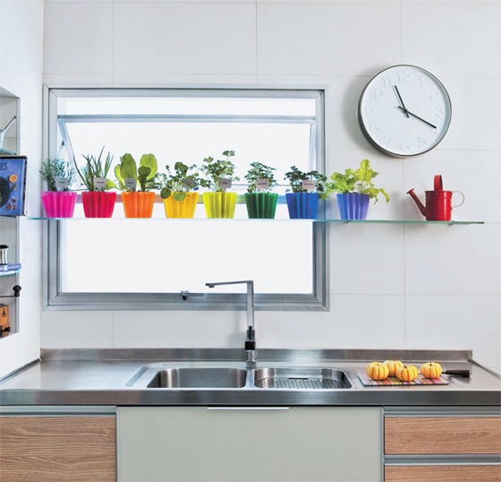 mini jardim de temperos:Rainbow Kitchen mini jardim de temperos:Rainbow Kitchen