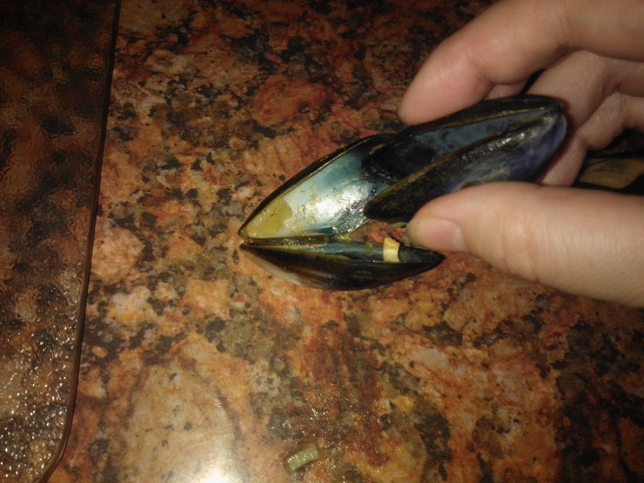 A Mothers Ramblings The Time We Ate Curried Mussel Soup