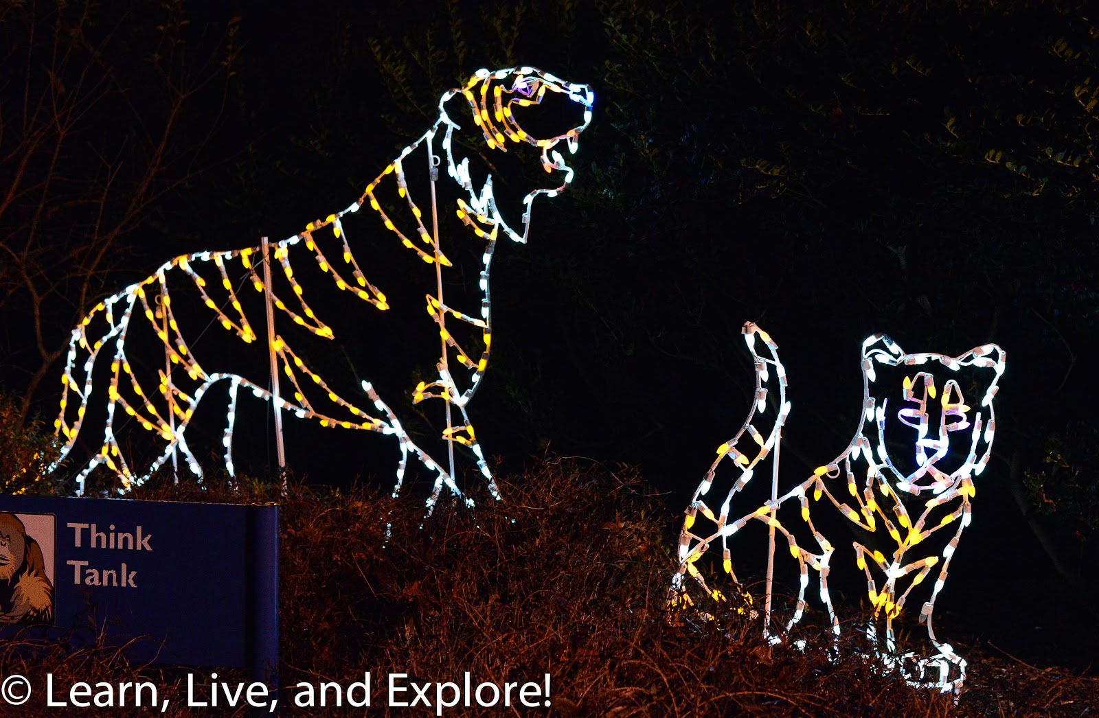 Zoolights at the National Zoo Learn, Live, and Explore!