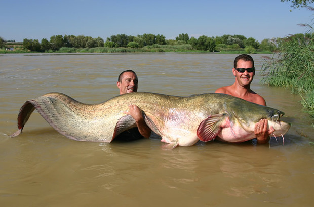 Top 10 des records les plus fous réalisés sur Facebook