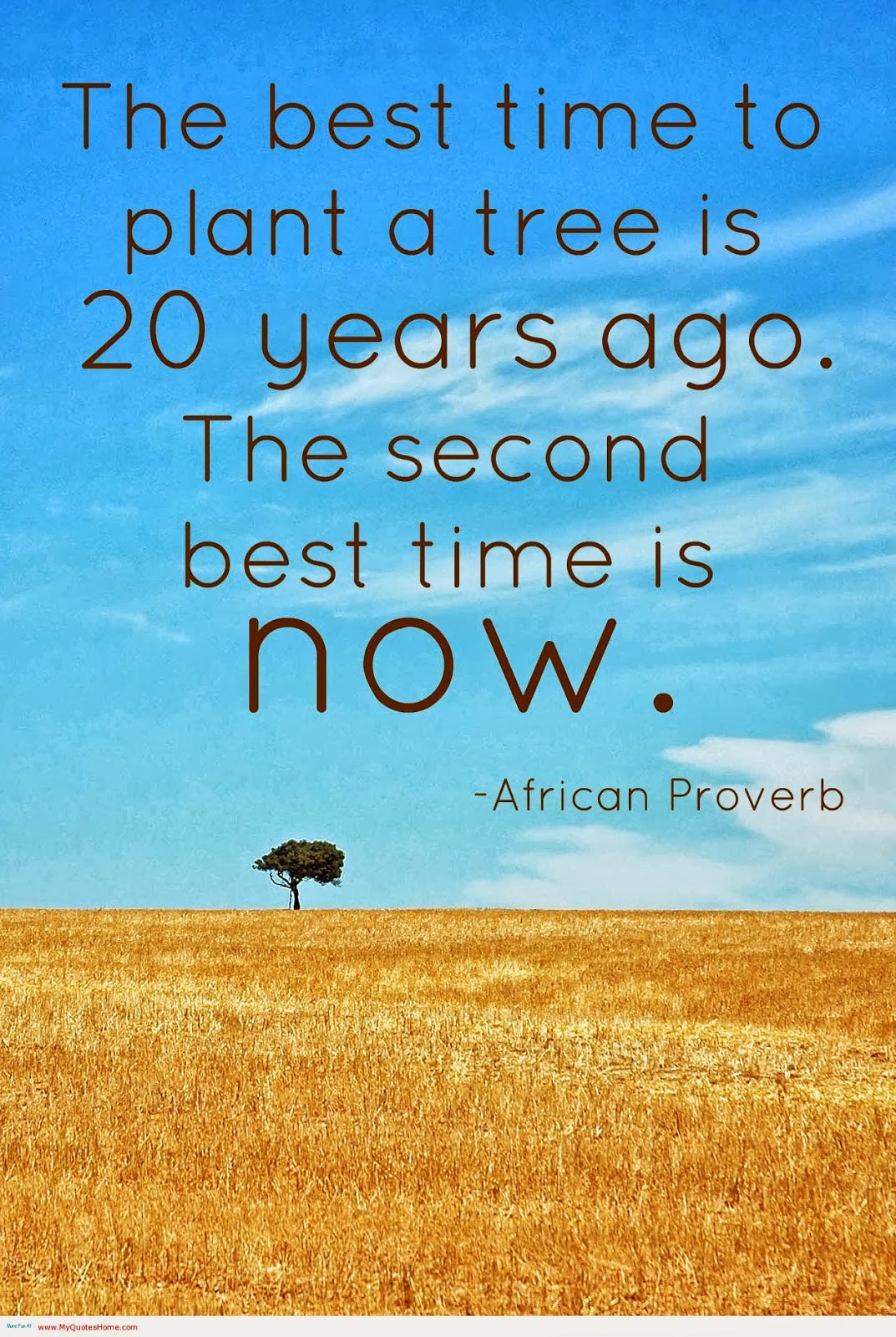 Pic Of The Day The best time to plant a tree is 20 years ago. The