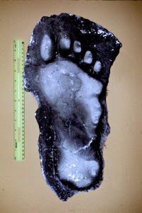 Dennis Heryford Footprint