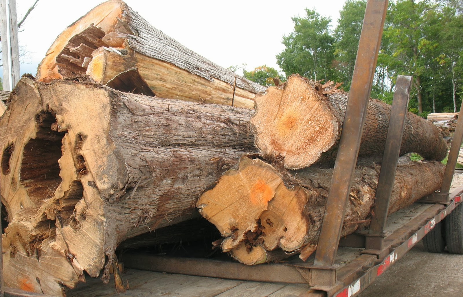 Wille Logging Lumber & Timber Cedar Comments