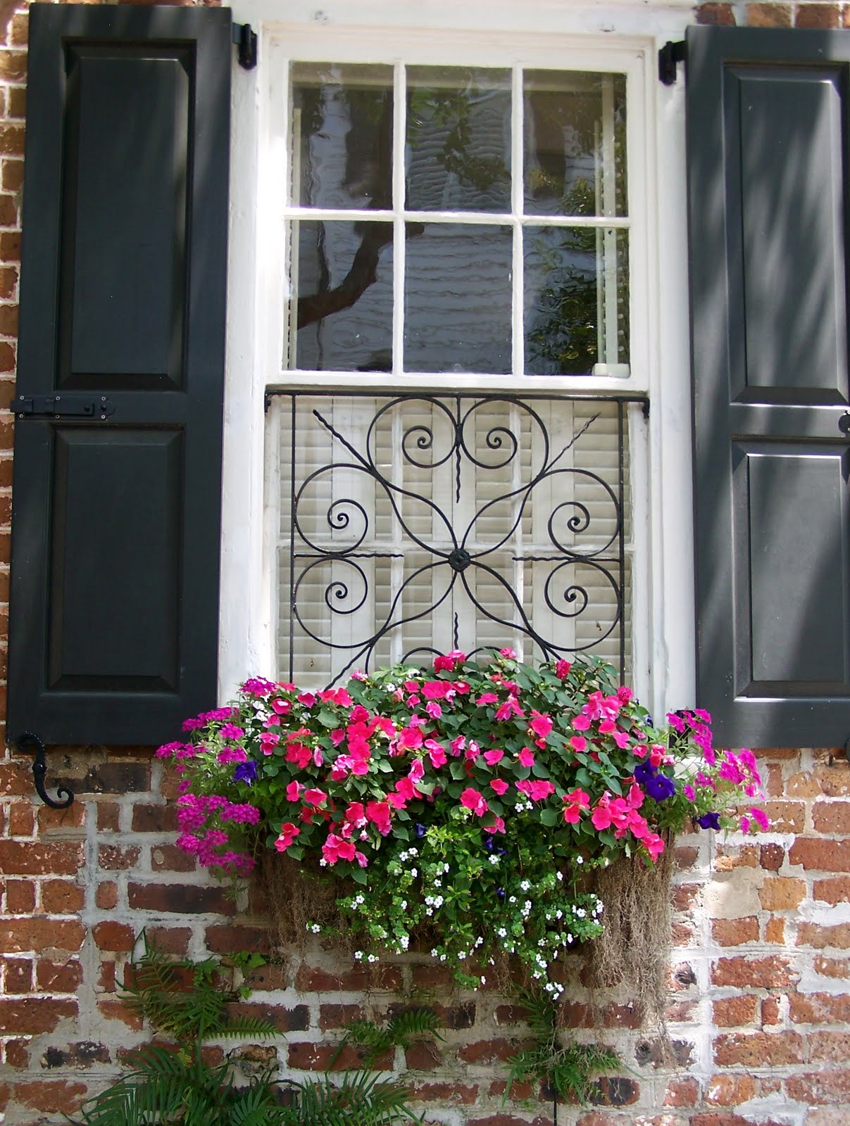 two doors down The Windows Boxes of Charleston