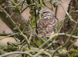 Foto van de maand (februari)