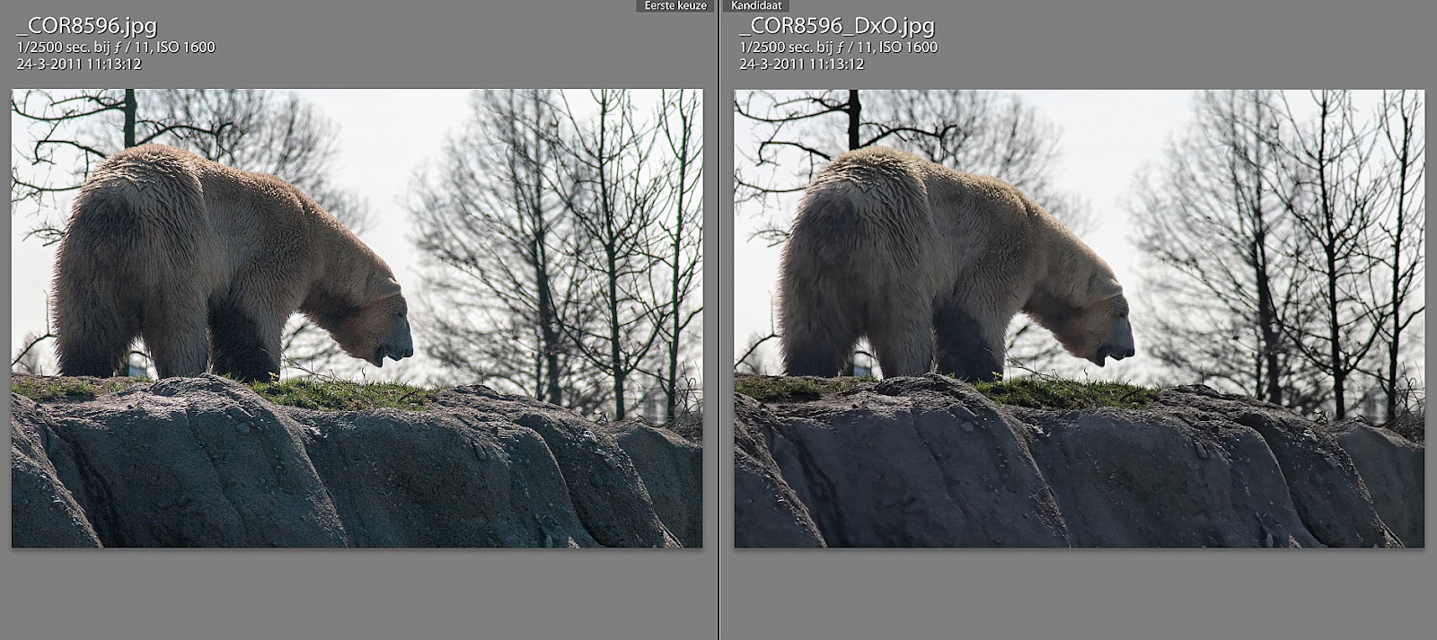 lightroom vs dxo lightroom vs dxo
