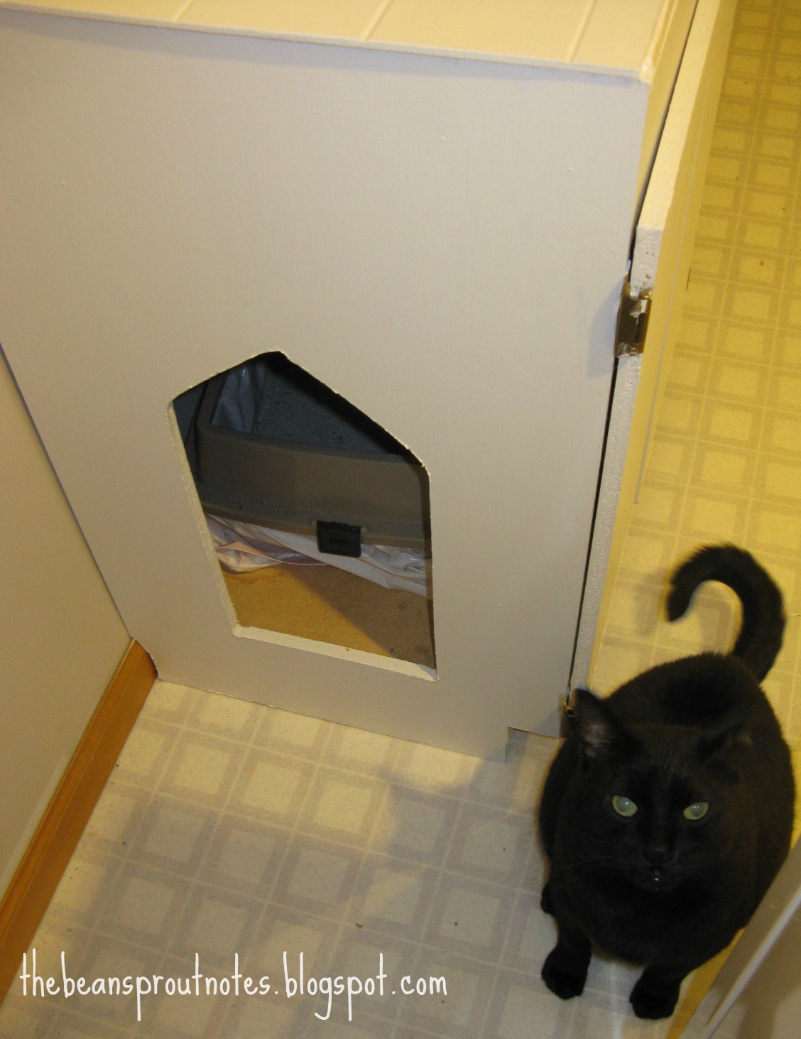 The Bean Sprout Notes Baby Proofing the Kitty Litter Box