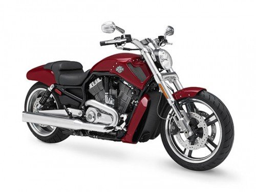 Harley Davidson V-Rod Muscle VRSCF Bike.jpg