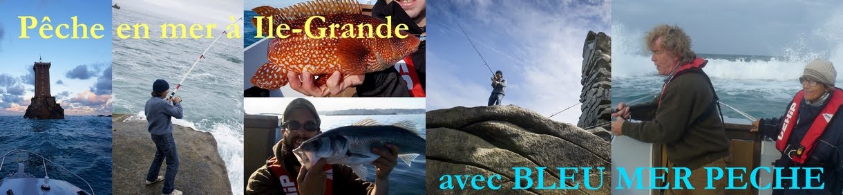 Guide de pêche en mer en Bretagne Ile-Grande Pleumeur-Bodou  