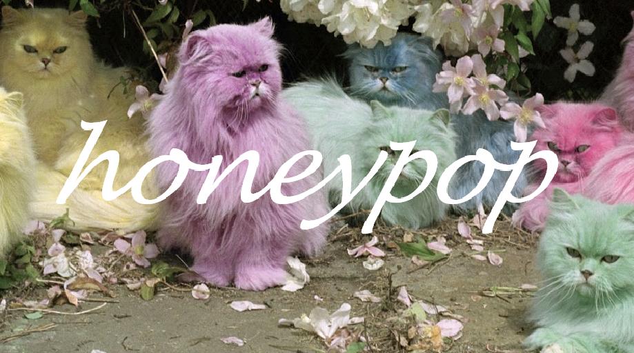 Honey Pop