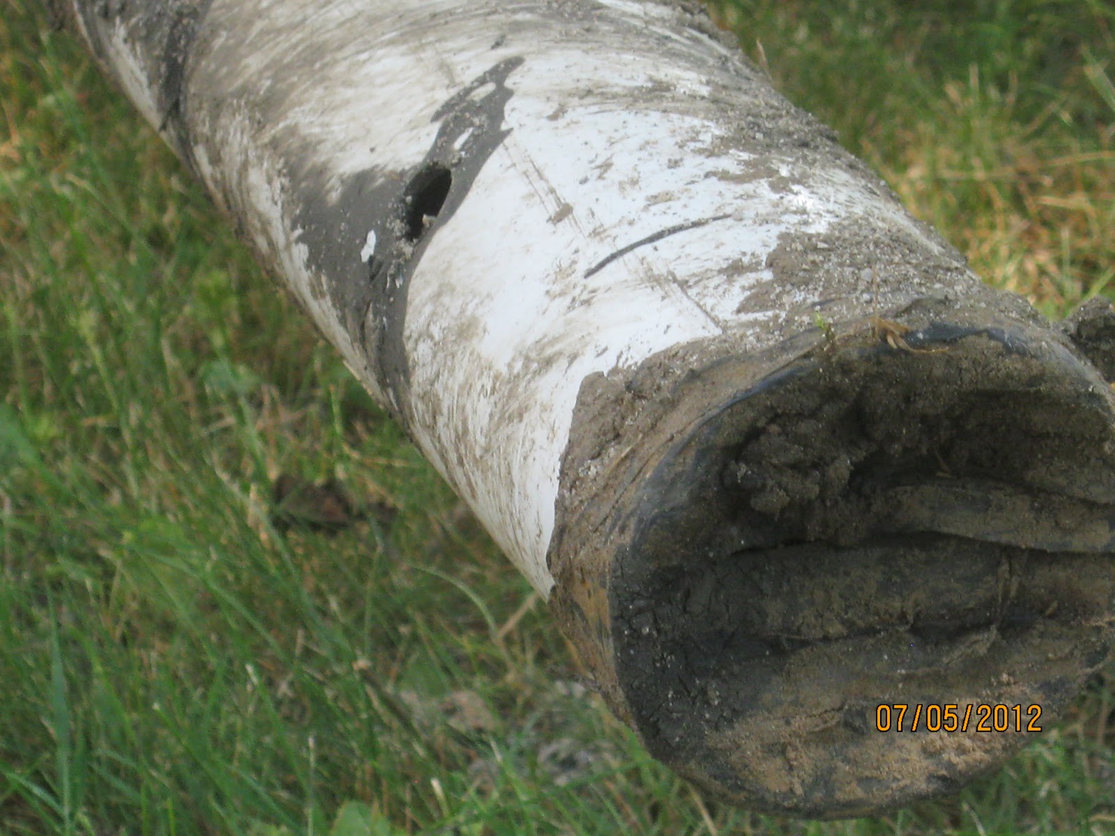 HuronKinloss Community Septic Inspections Clogged Drain Pipes First