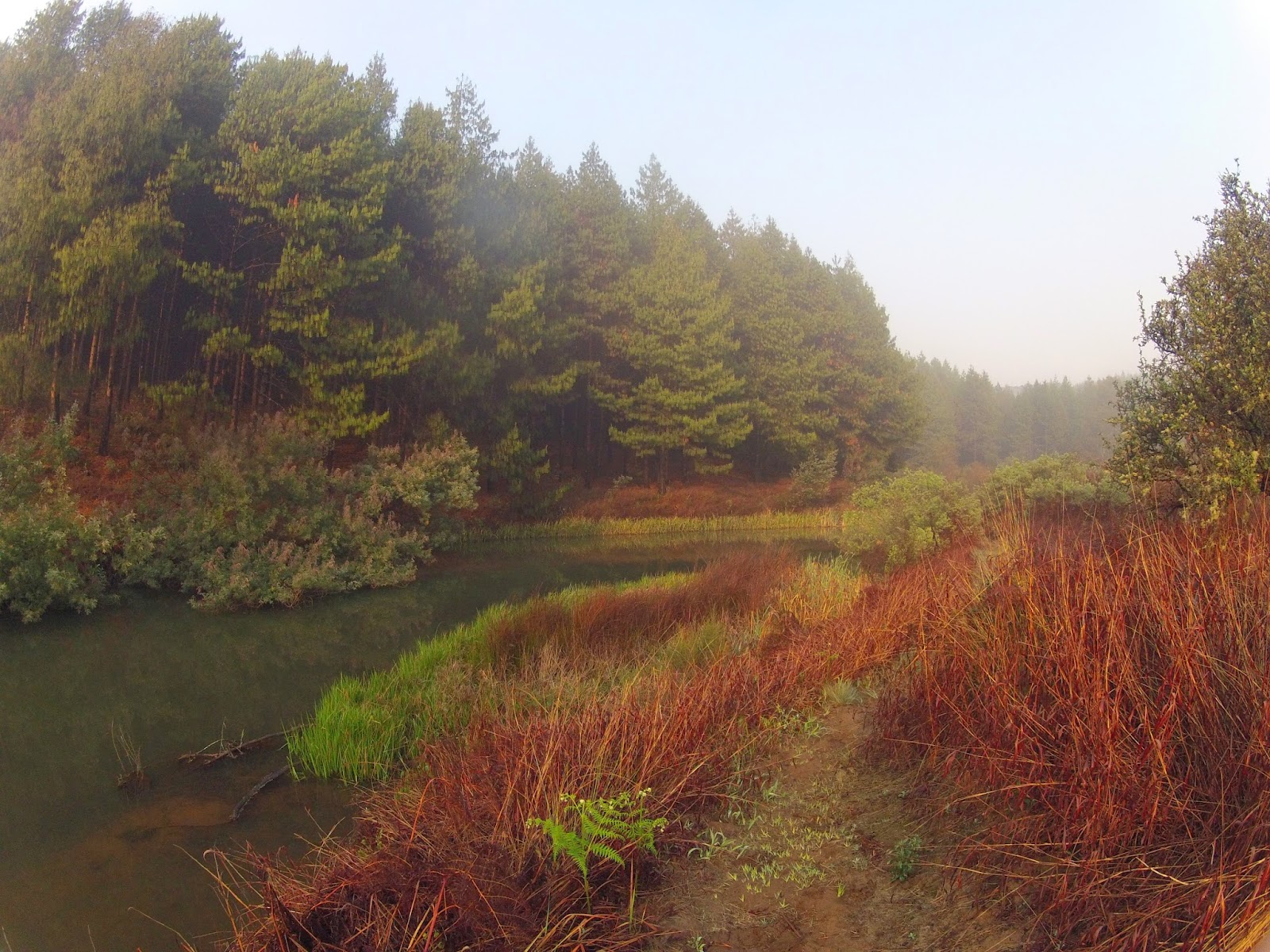 Zwakala River Retreat Haenertsburg Broederstroom River