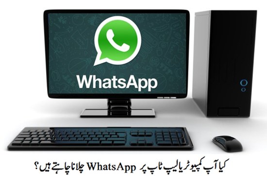 Whats App Computer