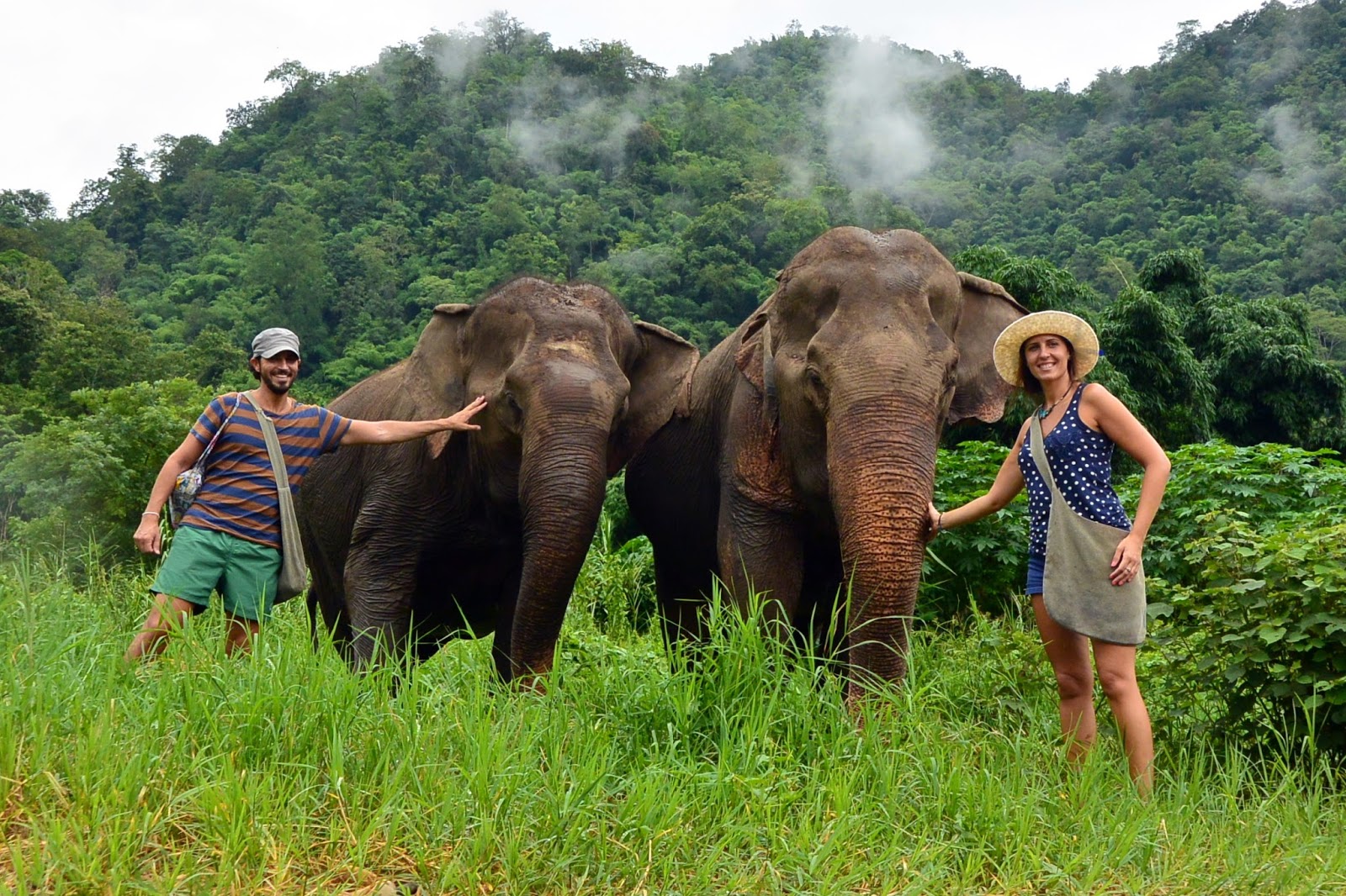 Travel the Life UN DÍA CON LOS ELEFANTES EN ELEPHANT NATURE PARK
