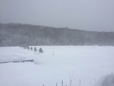 限界超えました