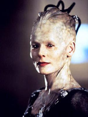 The Cucking Stool 2012