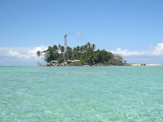 Tempat Wisata terkenal yang ada di pulau Sumatra - Page 2 Pulau+tikus+bengkulu