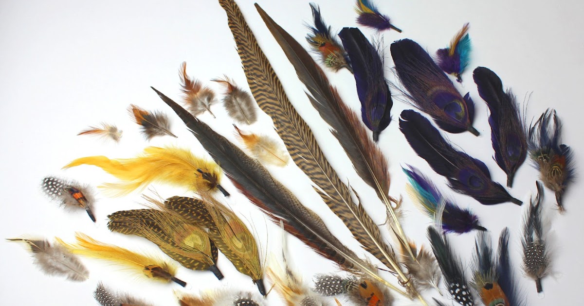 Nest Feathers